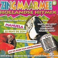 Zing Maar Mee - Volume 8 (Hollandse Hitmix) Karaoke - CD